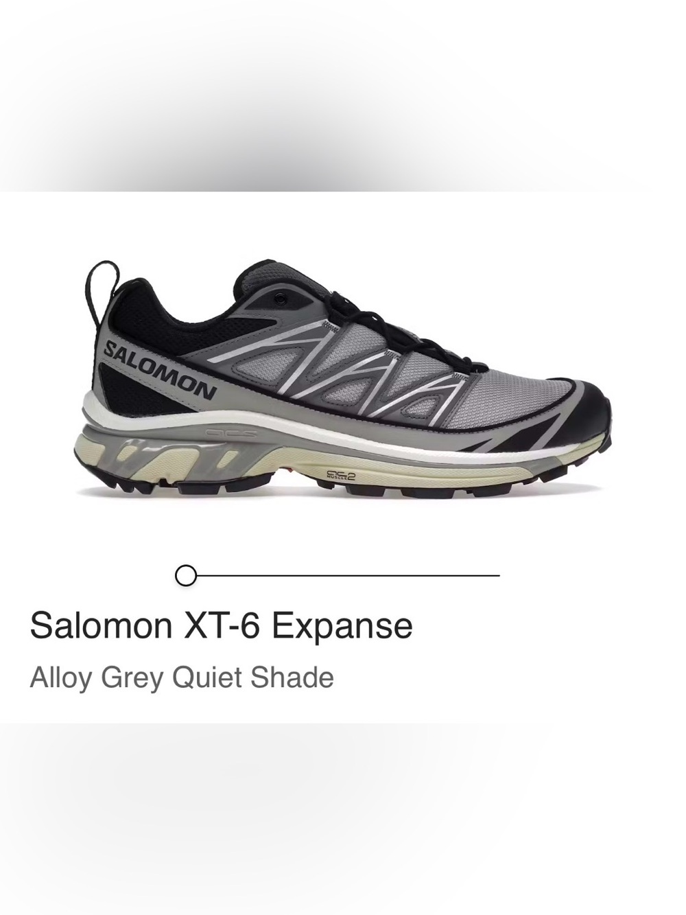 Salomon Men's XT-6 Grey/Black